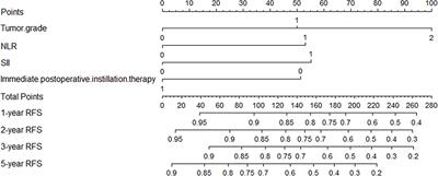 The relationship between inflammatory response markers and the prognosis of non-muscle invasive bladder cancer and the development of a nomogram model